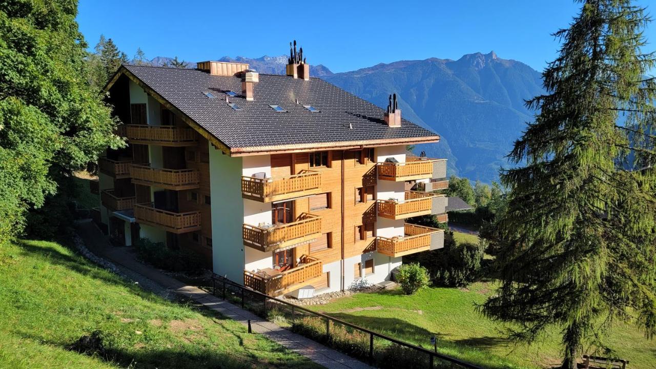 Appartement Chaleureux A Ovronnaz Exterior foto